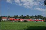 Eine DB 245 ist bei Enzisweiler als IRE von Lindau Insel nach Stuttgart unterwegs. 

14. August 2021