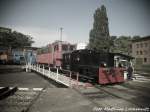 K�f 4033 und 142 255 im DB Museum Halle (Saale) am 5.7.15