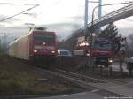 das erste Foto nach dem Bauarbeiten in Bad kleinen kam 101 036-2 als Intercity (IC) mit ziel Ostseebad Binz auf&acute;m d�nhom mir entgegen und konnte somit das erste Foto wieder mmachen am 16.12.13