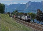 Der  Novelis  Güterzug von Sierre nach Géttignne kurz nach Villeneuve, noch mit einer 189; kurz darauf übernahm die DB den Zug der nun mit 185 geführt wird.