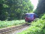 Am 27.8.11 Fuhr Die Chemnitzer Ferkeltxen 172 132 + 172 171 im Sonderzugplaneinsatz auf der Strecke Bergen auf R�gen - Putbus - Lauterbach Mole / Hier kurz hinter Putbus in  Richtung Lauterbach Mole