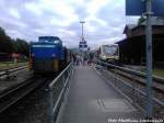 Am abend war am Ende des R�BB Zuges leider wieder die Diesellok 251 901 dranne, Morgens fuhr als ersatz f�r die Ausgefallende 251 901 die Mh 53 / R�BB 251 901 & PRESS 650 032-4 im Bahnhof Putbus am