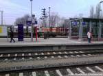 HVLE Voith Maxima 40CC hinter Holzwagen versteckt im Bahnhof Bergen auf R�gen am 16.4.13