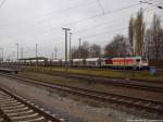 Voith Maxima 40CC / Loknr V490 der HVLE im Bahnhof Bergen auf R�gen am 18.11.13