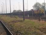 MEG 105 (203 119) kam mit einem G�terzug in Rottleberode eingefahren am 9.10.18