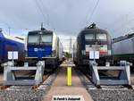 WLC 1193 9802 & MRCE 182 507 abgestellt bei der Lokservicestelle Hafen West am 04.05.2019 in Hamburg-Altenwerder