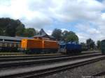 MTEG 293 022-0 und R�BB 251 901 im Bahnhof Putbus am 1.6.14