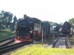 52 8079 abgestellt im Bahnhof Putbus und R�BB 99 1784 unterwegs nach Lauterbach Mole am 14.6.14