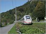 Gartenbahn - aber im Massstab von 1/1; die Bahn mag sich zurecht einen Gr�nen Anstrich geben, aber hier hat man es wohl etwas �bertrieben: Der DB ICE 4 9217 k�mpft sich zwischen Bregenz und Lochau H�rbranz durch den Jungle in Richtung Lindau Reutin.

15. September 2024