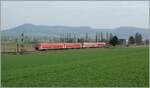 Zwei DB VT 611 im Klettgau (CH) bei Wichlingen-Hallau. 

8. April 2010
