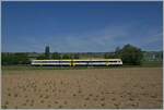 Ein DB VT 612 ist im schweizerisch Klettgau auf der Fahrt nach Schaffhausen. Hier stehen zur Zeit die wohl letzten Form Signale (Regelbetriebe) in der Schweiz. 

15. Mai 2022