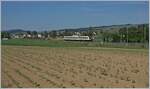 Ein DV VT 612 im Klettgau bei Neunkirch auf dem Weg nach Schaffhausen. Die Strecke im schweizerischen Klettgau gehört der DB. 

15. Mai 2022
