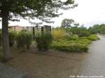 Blumenvielfalt am Th�ringer Bahnhof in Halle (Saale) am 11.6.15