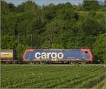 Zum Abschluss gab es an diesem Tag noch Re 482 024 der SBB Cargo Richtung Basel. Buggingen, Juni 2022.