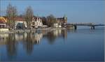 Seehas am Rhein und See.