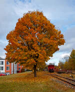 Herbstzeit oder Indian Summer auf der Schwäbische Alb.....