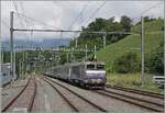 Die SNCF BB 22391 'Nez cass�' f�hrt mit ihrem TER 96634 durch den Bahnhof von La Plaine und erreicht in K�rze Frankreich. Noch stehen die alten Gleichstromfahrleitungsmasten, die mit SBB Fahrleitungsutensilien nachger�stet nun SNCF Wechselstromsystem von 25000 Volt 50 Hertz die Strecke versorgen. Doch wie ganz links im Bild angedeutet, stehen dem Bahnhof gr�ssere Umbauarbeiten bevor, so dass sich der Bahnhof wohl demn�chst in einen anderen Gesicht zeigen wird. Ganz links im Bild unten  st�rt  ein St�ck Prellbock, zeigt aber dass ich das Bild vom Bahnsteig aus gemacht habe. 
Der TER ist auf der Fahrt von Gen�ve (ab 9:57) nach Valence (an 13:13).

1. Juni 2026