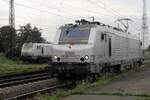 m 20 September 2015 lauft Akiem 37030 um in Grosskorbetha.