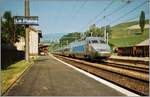 La Plaine, die westlichste SBB Station auf der Strecke Gen�ve - Lyon wird mit Ausnahme des Lokalverkehrs von SNCF Fahrzeugen bedient, im Bild ein TGV au der Fahrt Richtung Frankreich.