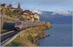 Ein FS Treniatila ist als EC von Domodossola nach Genève unterwegs und konnte kurz vor Sonnenuntergang zwischen St-Saphorin und Rivaz fotografiert werden. 

12. Nov. 2024