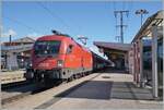Die ÖBB 1116 273 hat in Singen von der SBB Re 4/4 II 11161 den IC Zürich Stuttgart übernommen. Der Lokführer wartet auf den Abfahrtsbefehl.

19. September 2022