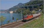 Die SBB Re 420 255-2 mit einem Güterzug beim Château de Chillon.