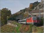 Die SBB Re 4/4 II 11198 mit einem Fussball-Fan Extrazug besthend aus ach Bpm 51 von Bern nach Sion auf der Train des Vigens Strecke zwischen Chexbres-Village und Vevey, auf welcher im Planbetrieb