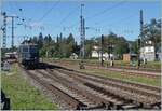 Die SBB Re 4/4 II 11161 erreicht mit ihrem IC von Zürich nach Stuttgart den Bahnhof von Singen, wo die Lok von der ÖBB 1116 273 abgelöst werden wird.