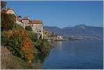 Schon fast ein Zugsuchbild mit der SBB Re 460 und ihrem IR90 zwischen St-Saphorin und Rivaz im herbstlichen Lavaux.