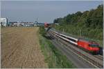 Eine SBB Re 460 ist mit einem IC auf der NBS bei Langenthal unterwegs.