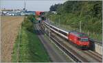 Eine SBB Re 460 ist mit einem IC auf der NBS bei Langenthal unterwegs.
