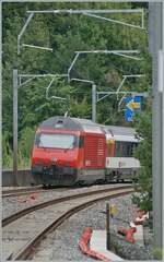 Teleaufnahme einer SBB Re 460 auf dem Weg nach Brig bei Burier.