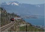 Umleitungsverkehr via die  Train de Vignes -Strecke und Palézieux statt dem See entlang.