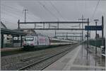 Die neuste SBB Werbelok: die Re 460 061 wirbt für den Aufzughersteller Schindler, der dieses Jahr sein 150 Jubiläum feiert.