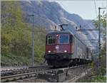Die Re 620 074-5 und eine re 4/4 II fahren bei Varzo mit einem G�terzug Nordw�rts.