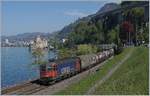 Die SBB Re 6/6 11665 Ziegelbr�cke (Re 620 065-3) ist mit einem G�terzug beim Ch�teau de Chillon unterwegs.
