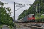Hinter dem Ch�teau de Chillion (welches hier nicht zu sehen ist) verl�uft die Simplon Strecke von Lausanne nach Brig.