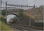Die SBB Re 6/6 11634 (Re 620 034-9)  Aarbrug Oftringen mit einem G�terzug Richtung Villeneuve bei der Durchfahrt in Cully.