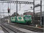 Die beiden BAM MBC Ge 4/4 21 und 22 warten in Morges auf ihren Kieszug, der von der Re 4/4II aus Gland gebracht wurde und nun im Hintergrund (also nicht zu sehen) auf die Rollbockgrube geschoben wird. 

22. Feb. 2024