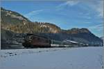 BLS Re 4/4 193  Grenchen  mit einem Goldenpanoramic RE bei Boltigen.