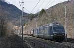 Zwei BLS Re 465 mit eine Güterzug bei Varzo.