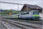 Die BLS Re 4/4 II 501 mit eine RE nach Spiez in Zweisimmen.