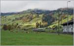 Zwei BLS Lötschberger RABe 535, unterwegs von Zweisimmen nach Spiez erreichen Boltigen.
