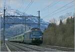 Die BLS Re 465 006 erreicht mit ihrem aus EW III Wagen formierten Regionalzug von Frutigen nach Spiez den Bahnhof von M�lenen.