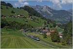 Eine BLS Re 4/4 II mit einem RE Interlaken Ost - Zweisimmen bei Garstatt.