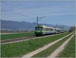 Zwischen Dotzigen und Büren ist ein BLS Regionalzug auf dem Weg nach Büren.