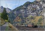 Dei BLS Re 4/4 194 erreicht mit ihrem Tunnel-Autozug Kandersteg.