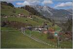 An der gleichen Stelle bei Garstatt ist eine BLS Re 465 mit ihrem RE unterwegs.