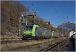 Zwei BLS Re 485 erreichen mit einer RoLa nach Novara den Bahnhof von Preglia, wo der Zug wieder auf das linke Gleis, welche von Varzo nach Preglia nach nicht zugelassen ist.