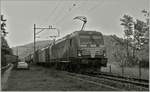 Die BLS Re 475 412 und eine Weiter mit eim Güterzug auf der  Alten Hauenstein Linie  bei Sommerau.
